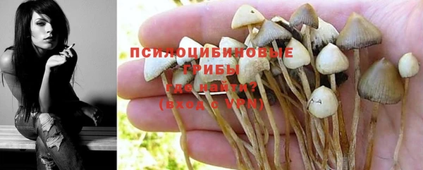 тгк Богданович