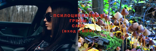 Альфа ПВП Богородицк
