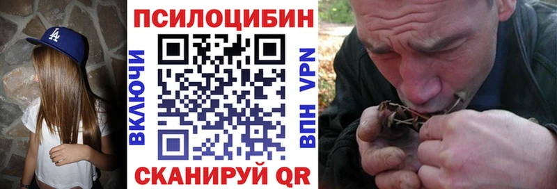 маркетплейс формула  Великий Устюг  Псилоцибиновые грибы мухоморы  продажа наркотиков 
